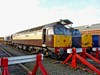 Carrying Northern Belle livery, Direct Rail Services 47832 Solway Princess stands at Crewe Gresty Bridge on November 23 2012. RICHARD CLINNICK. Carrying Northern Belle livery, Direct Rail Services 47832 Solway Princess stands at Crewe Gresty Bridge on November 23 2012. RICHARD CLINNICK.