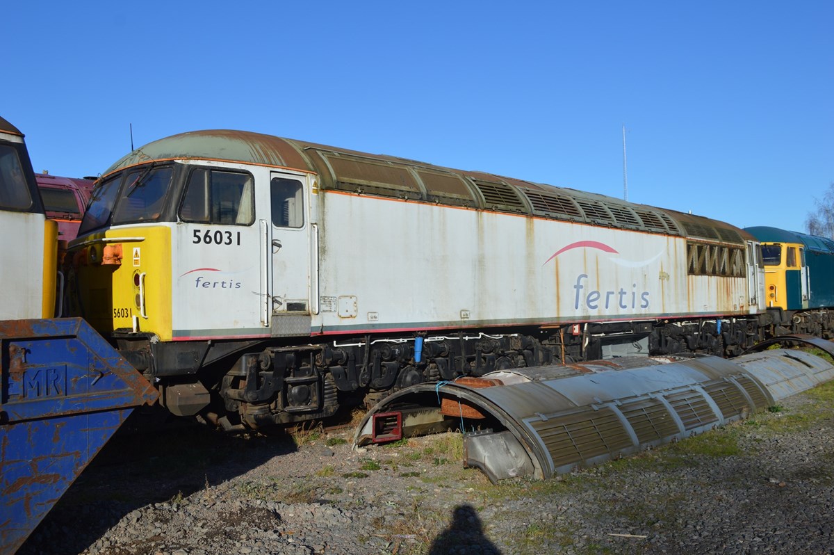 Stored UK Rail Leasing 56031 at Leicester on January 15. RICHARD CLINNICK. Stored UK Rail Leasing 56031 at Leicester on January 15. RICHARD CLINNICK.