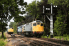 Visiting Class 27 D5401 (27056) and Direct Rail Services 37059 back down onto the 1607 to Sheringham at Holt, passing North Norfolk Railway resident 25057. The DRS '37' is air-braked only, and so was unable to operate solo all weekend because the NNR carriages are vacuum-braked. The '27' was therefore acting as a translator. The '27' had arrived from teh great Central Railway in May, and will remain at the NNR until August. AL PULFORD D5401