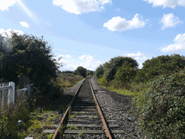 Whitmoor rail tracks