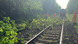 Weather extremities are “getting more severe and inpactful on the railway”, says Network Rail. A landslip causes trees to fall and block the line near Scunthorpe in May. NETWORK RAIL.